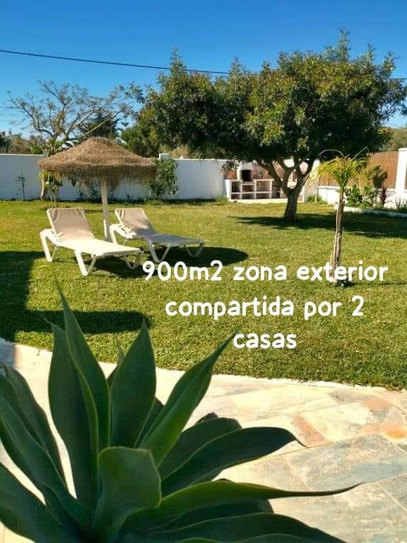 קוניל דה לה פרונטרה Olas De Conil מראה חיצוני תמונה